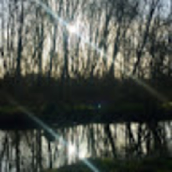 Meet your Posher, Attiya - Picture 1 of 1